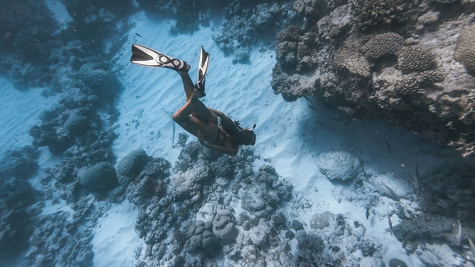 Snorkeling with Swan Hellenic Expedition Team