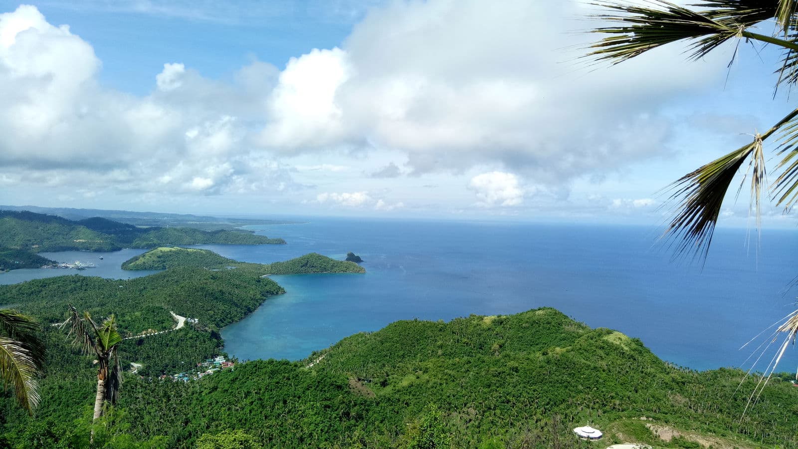 Cacao Roots: A Farm To Tablea Making Experience