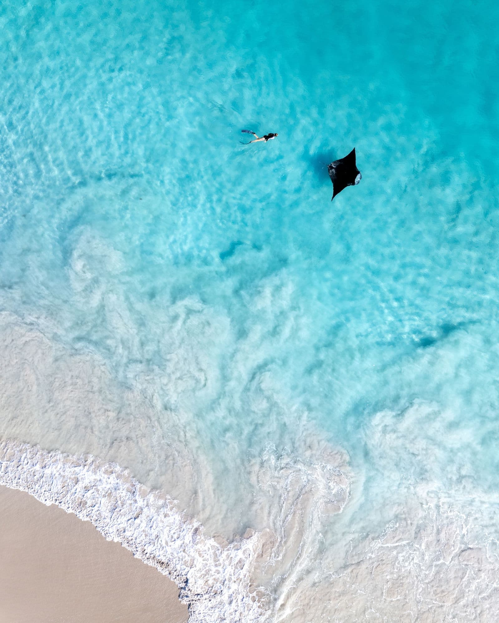 Limestone karst formations rising from turquoise waters in Misool