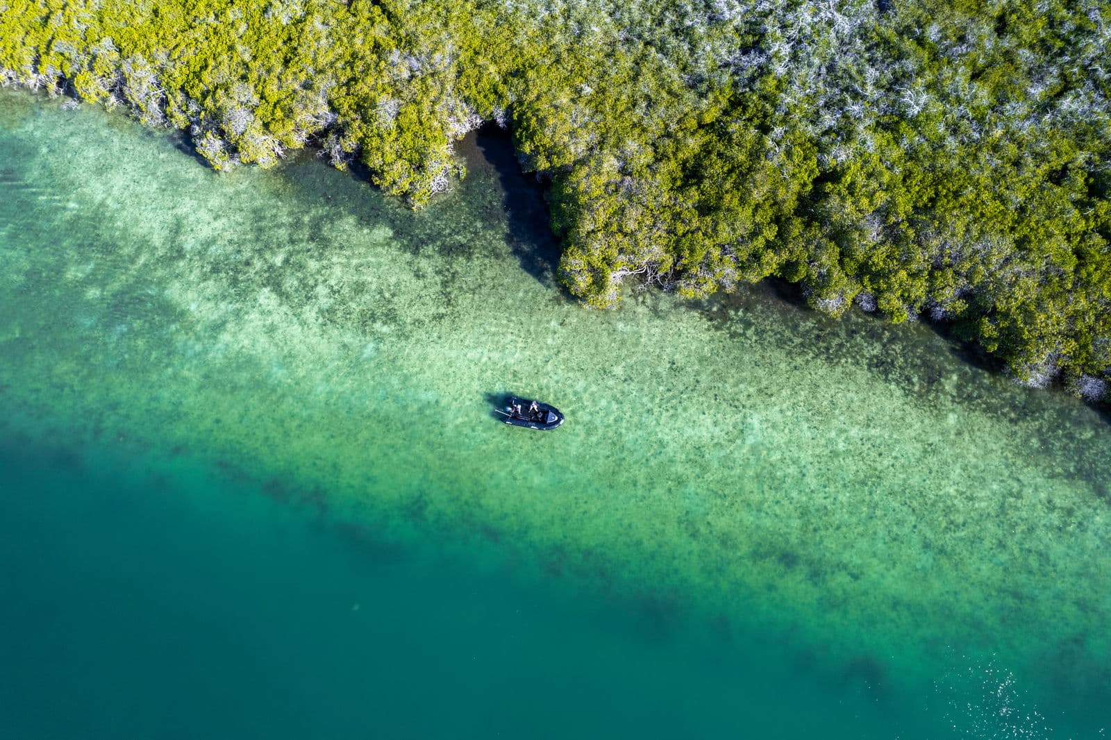 Expedition kayaks exploring hidden lagoons between limestone islands
