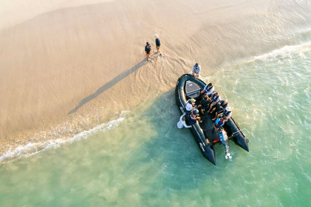Zodiac Cruising